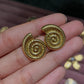 Shell earrings