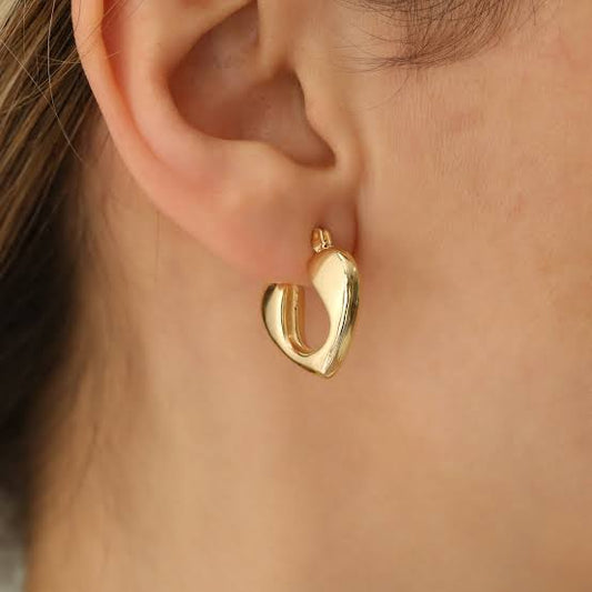 Heart earrings