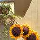 Handmade Knitted Sunflower – Crochet Flower Gift & Aesthetic Home Room Décor