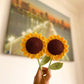 Handmade Knitted Sunflower – Crochet Flower Gift & Aesthetic Home Room Décor